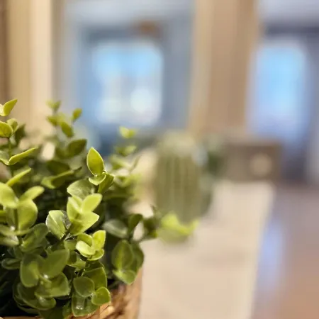 Tu Refugio En - Vive Ix Διαμέρισμα